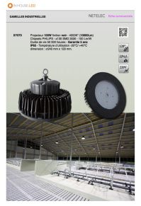 Gamelle industrielle 100W