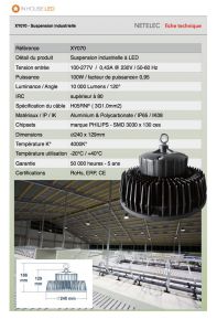 Gamelle industrielle 100W