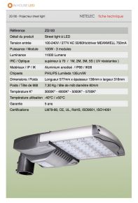 street light 100W